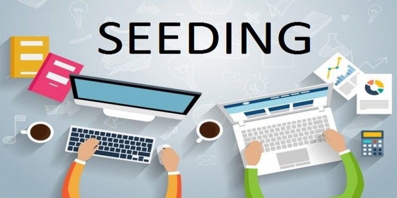 Dịch vụ seeding là gì? Các loại hình seeding phổ biến được sử dụng